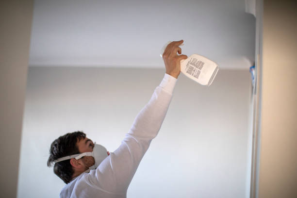 Best Residential Mold Remediation in Ripon, CA